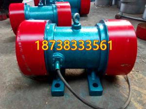 YZU-10-6振動電機(jī)